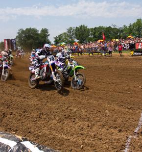 RedBud