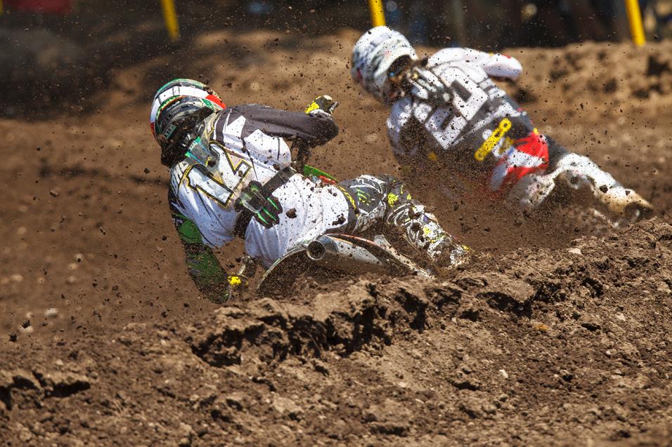250 Words: RedBud