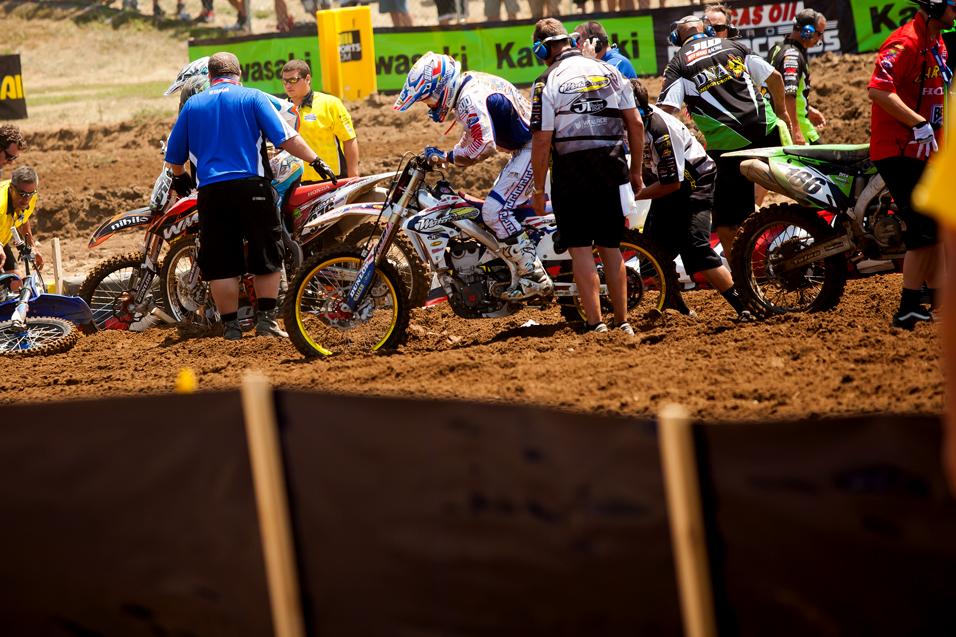 450 Words: RedBud