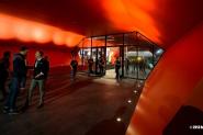 Fox Party Gallery