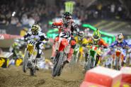 Toronto SX Wallpapers