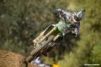 Hangtown MX Gallery