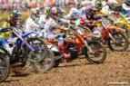 Muddy Creek Gallery