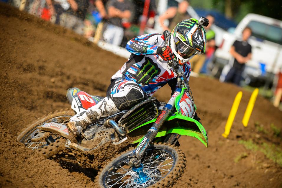 RedBud Wallpapers