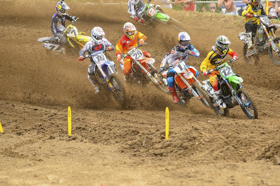 Observations: RedBud