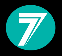 Troy Lee Designs SEVEN