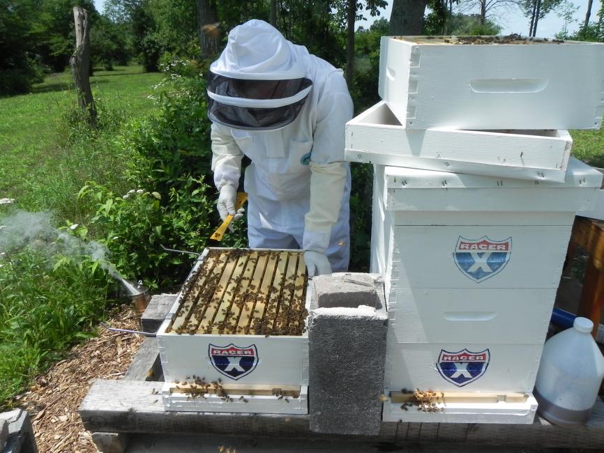 Glenn gives his bees motivation to make honey with the painted on Racer X shield.