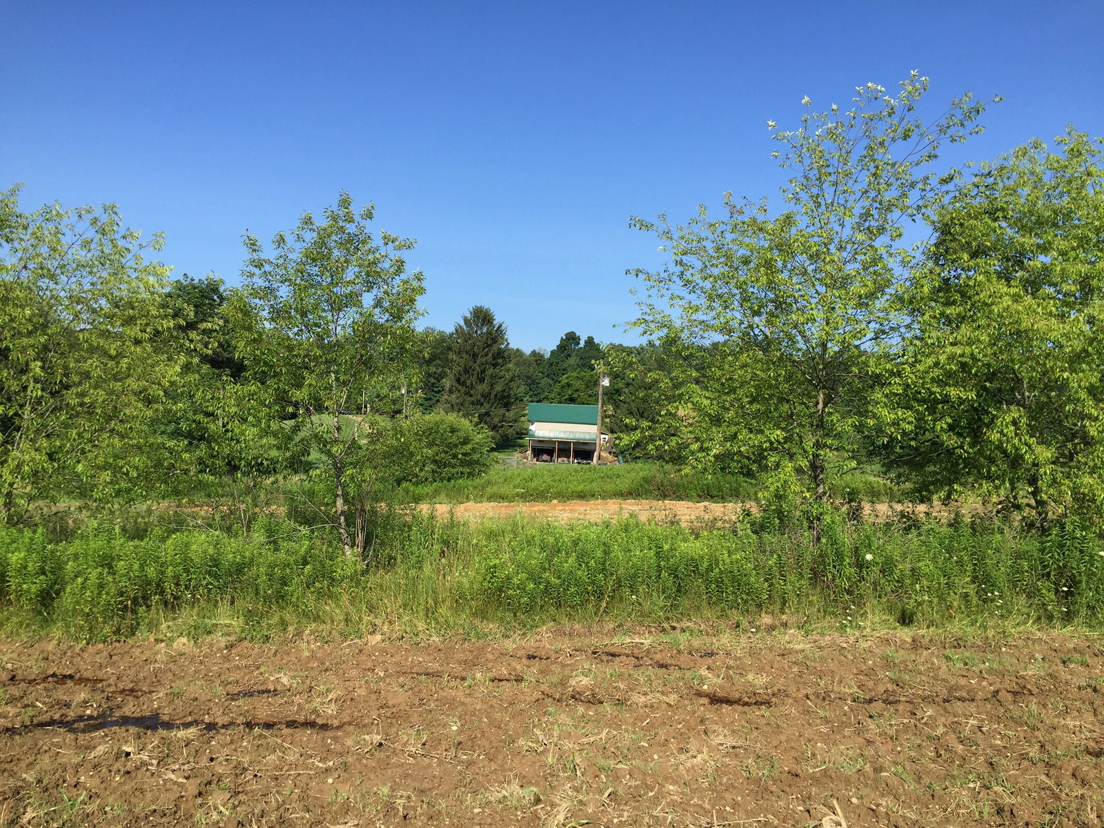 Mid-Ohio home