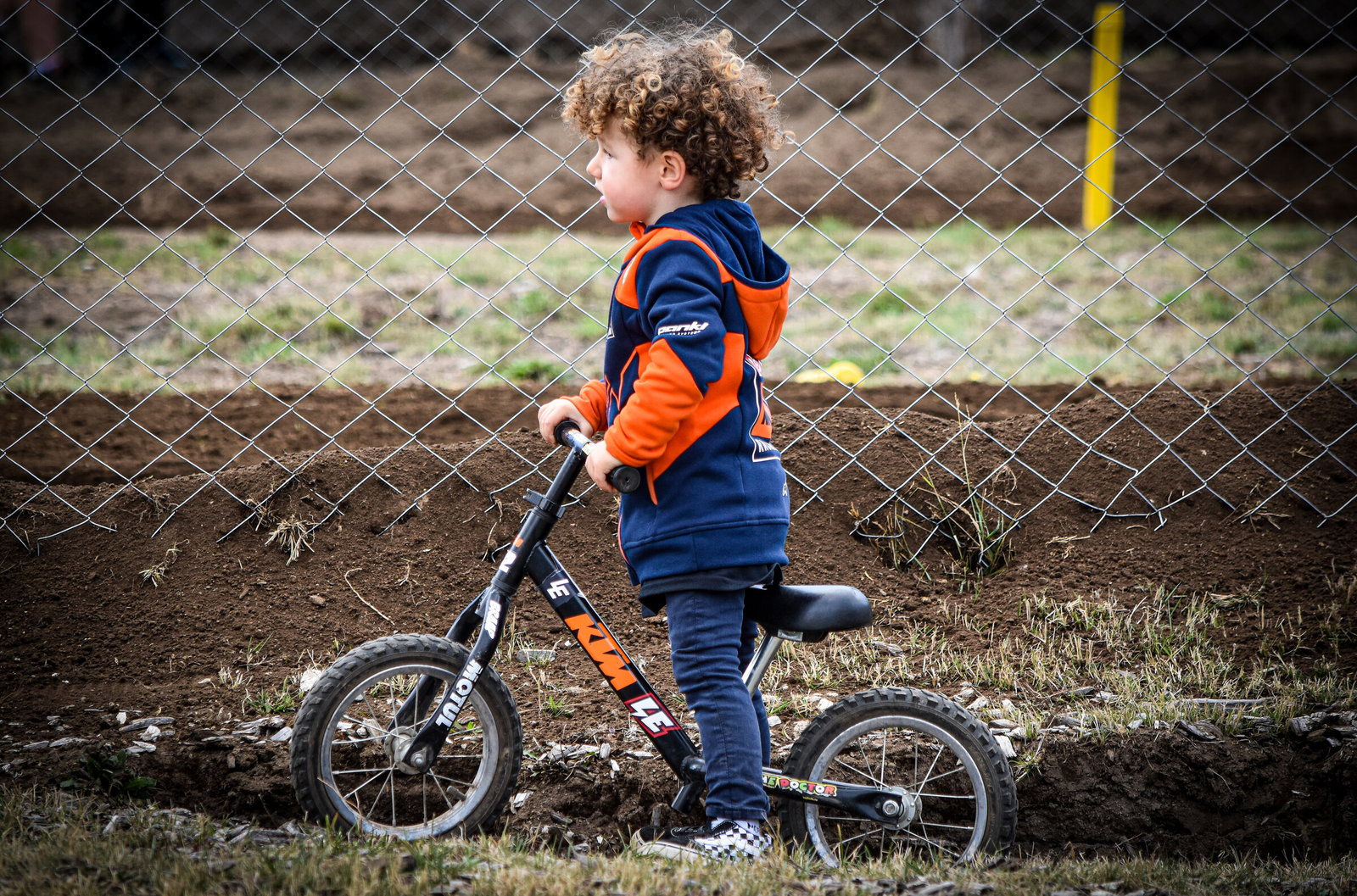 chase cairoli