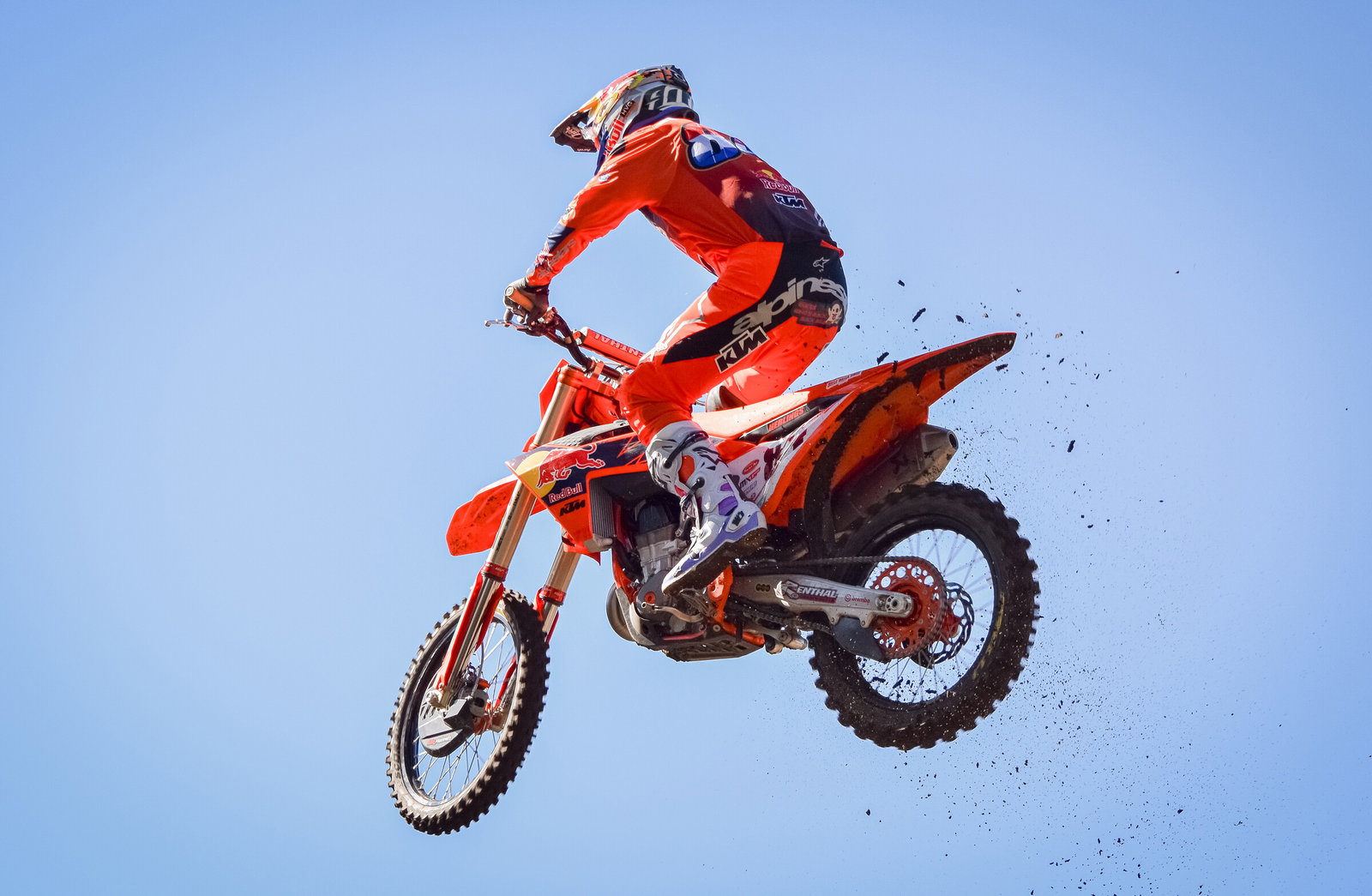 herlings6