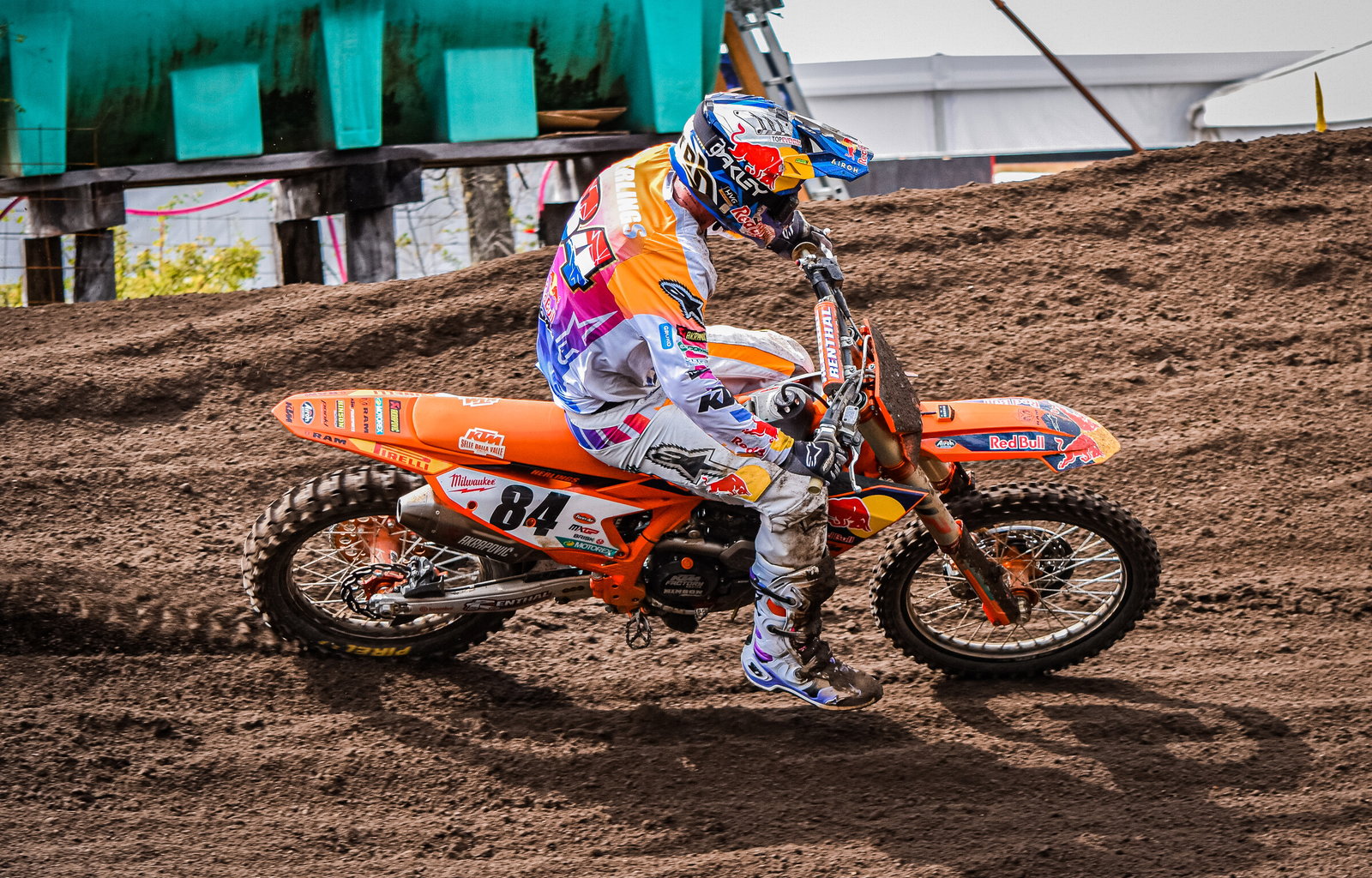 herlings4