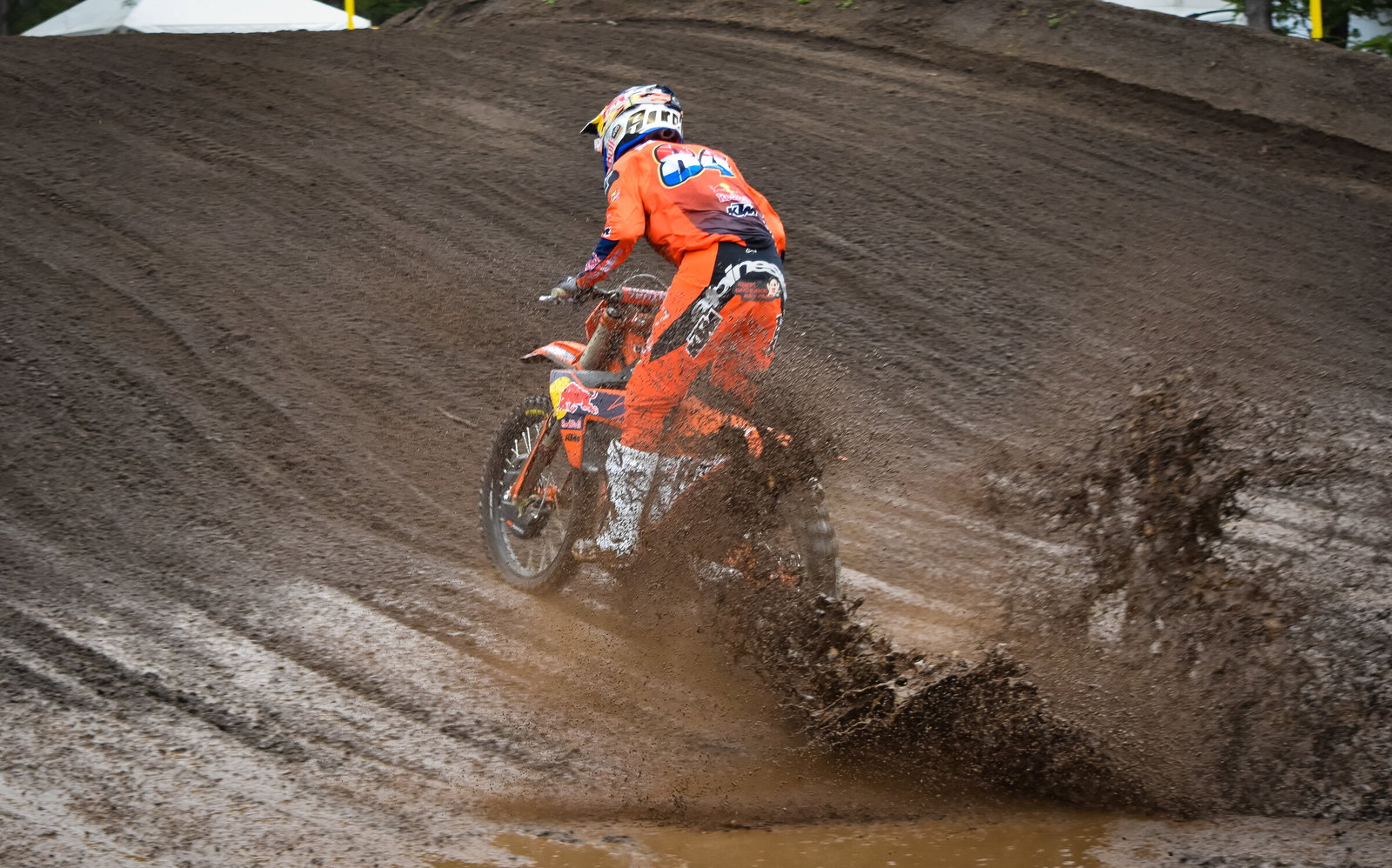 herlings9