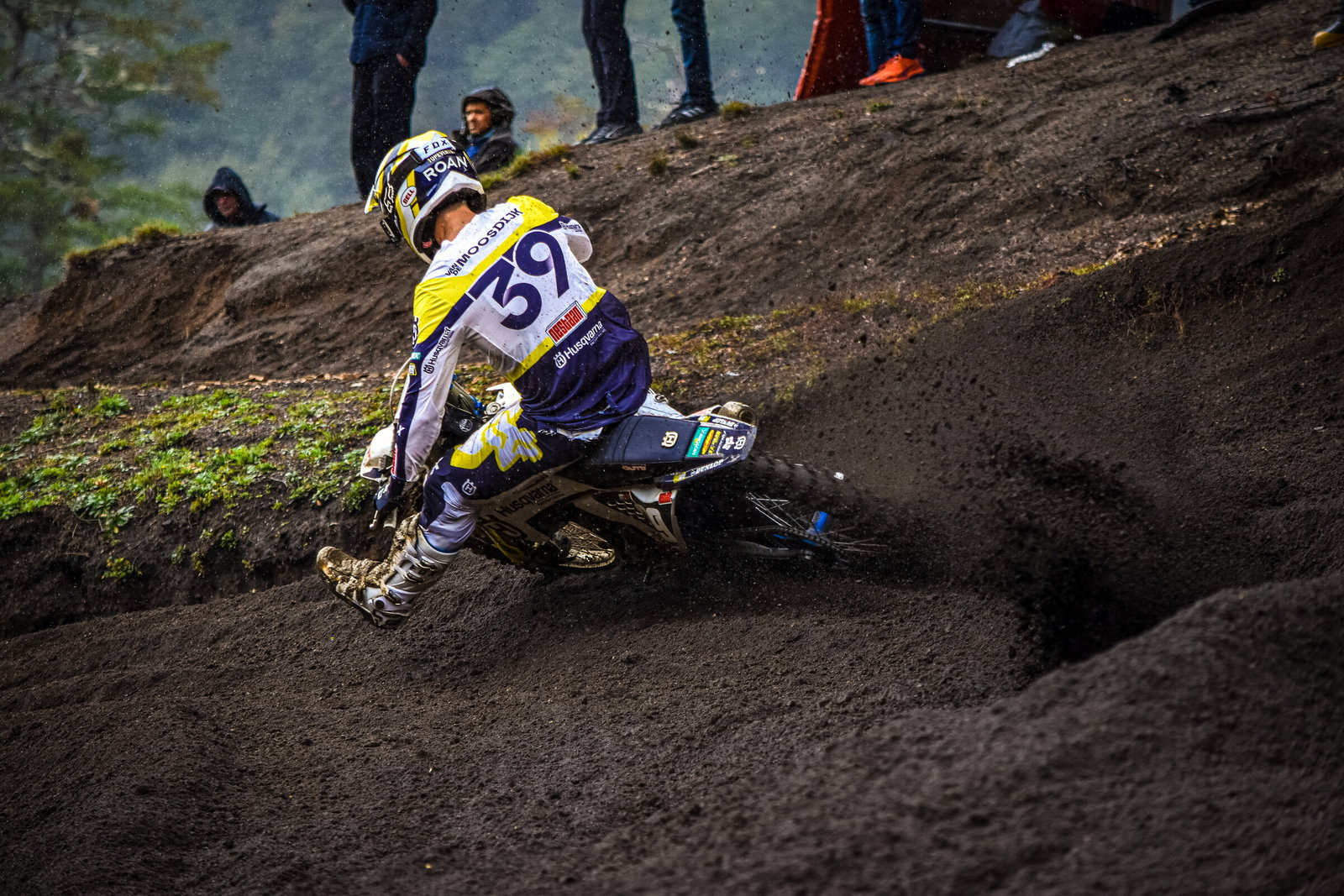 roan2