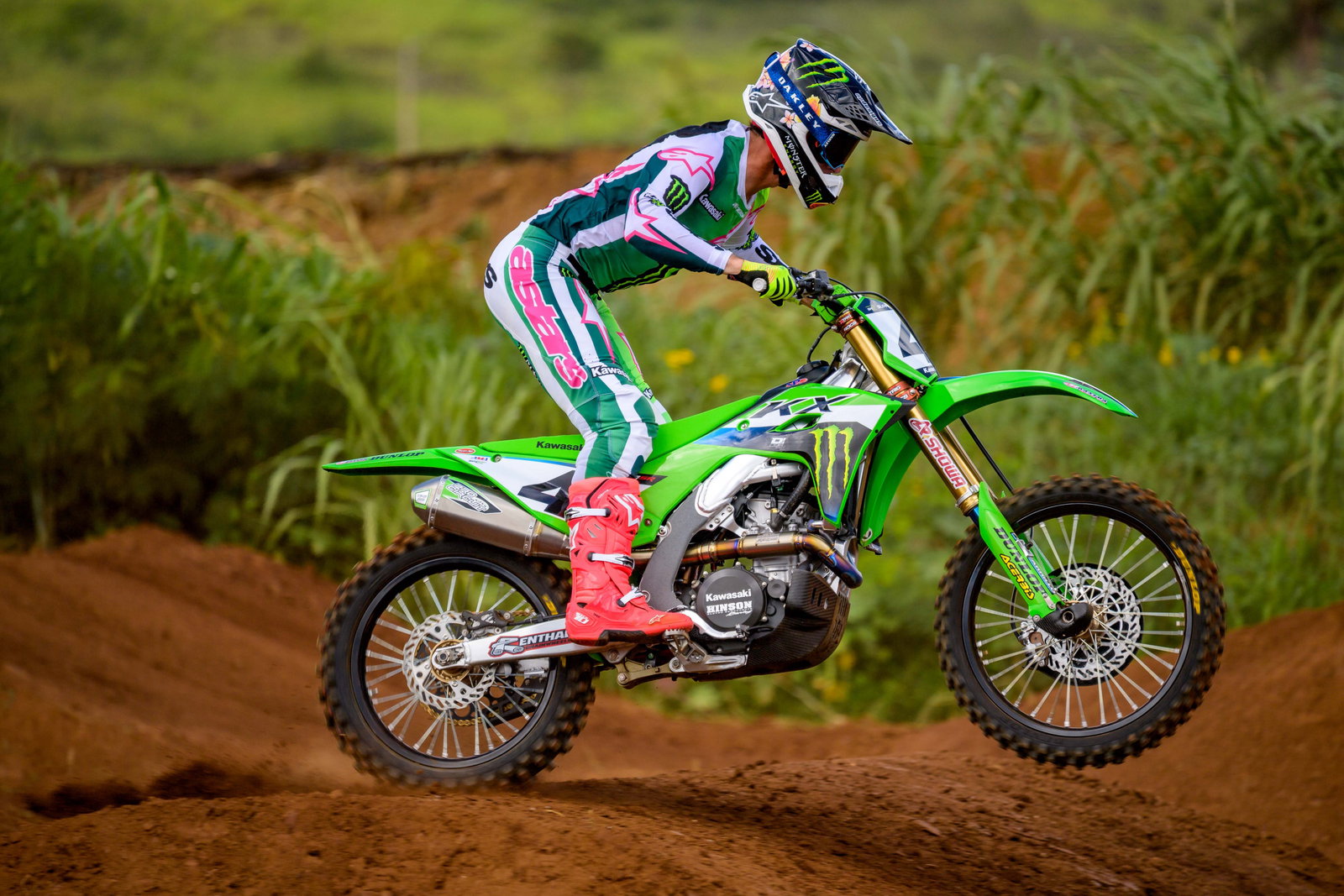 SEXTON_2025_HAWAII_MONSTER_OCTOPI_RSP_8835.NEF