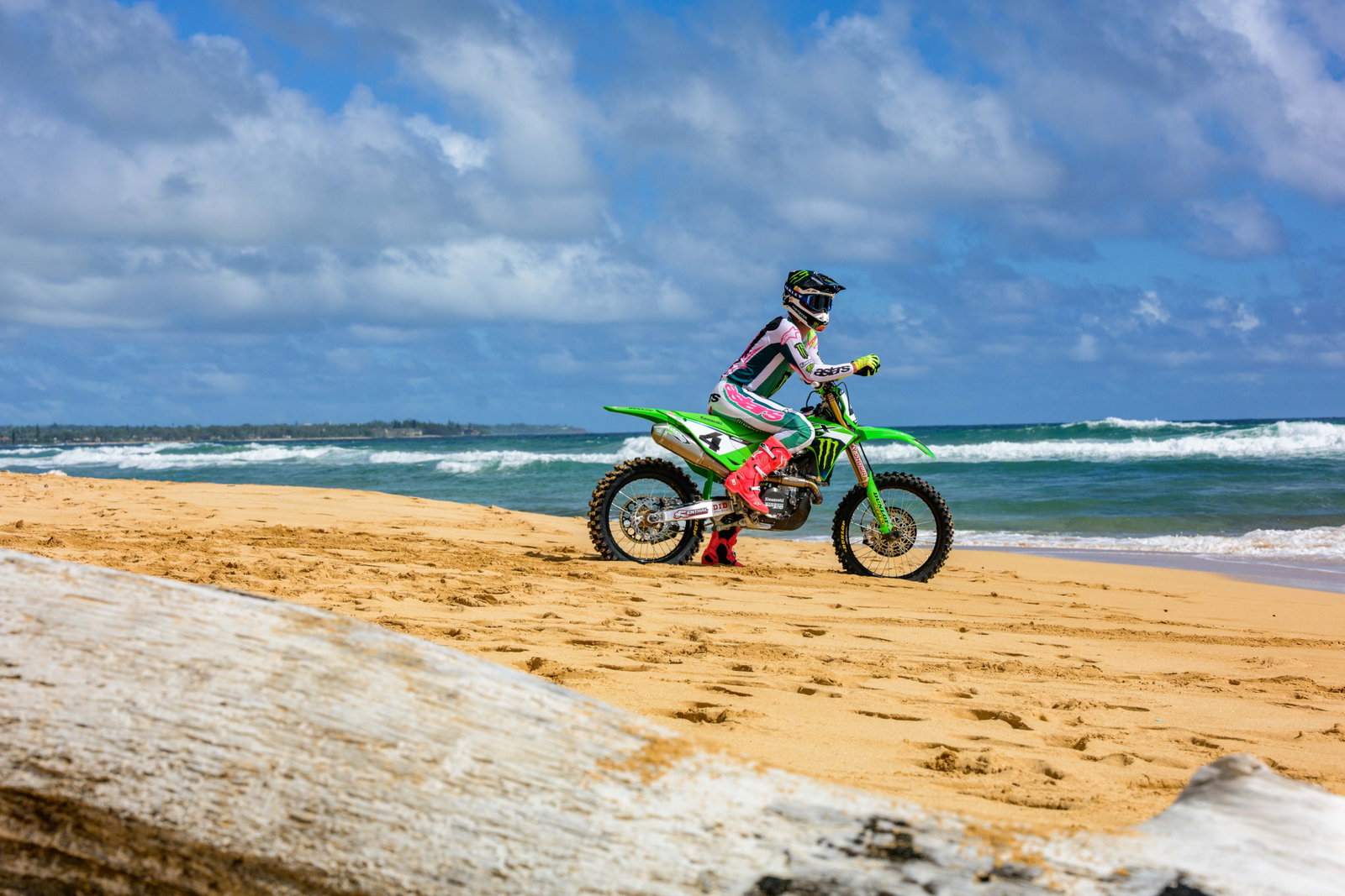 SEXTON_2025_HAWAII_MONSTER_OCTOPI__RJS8742.NEF