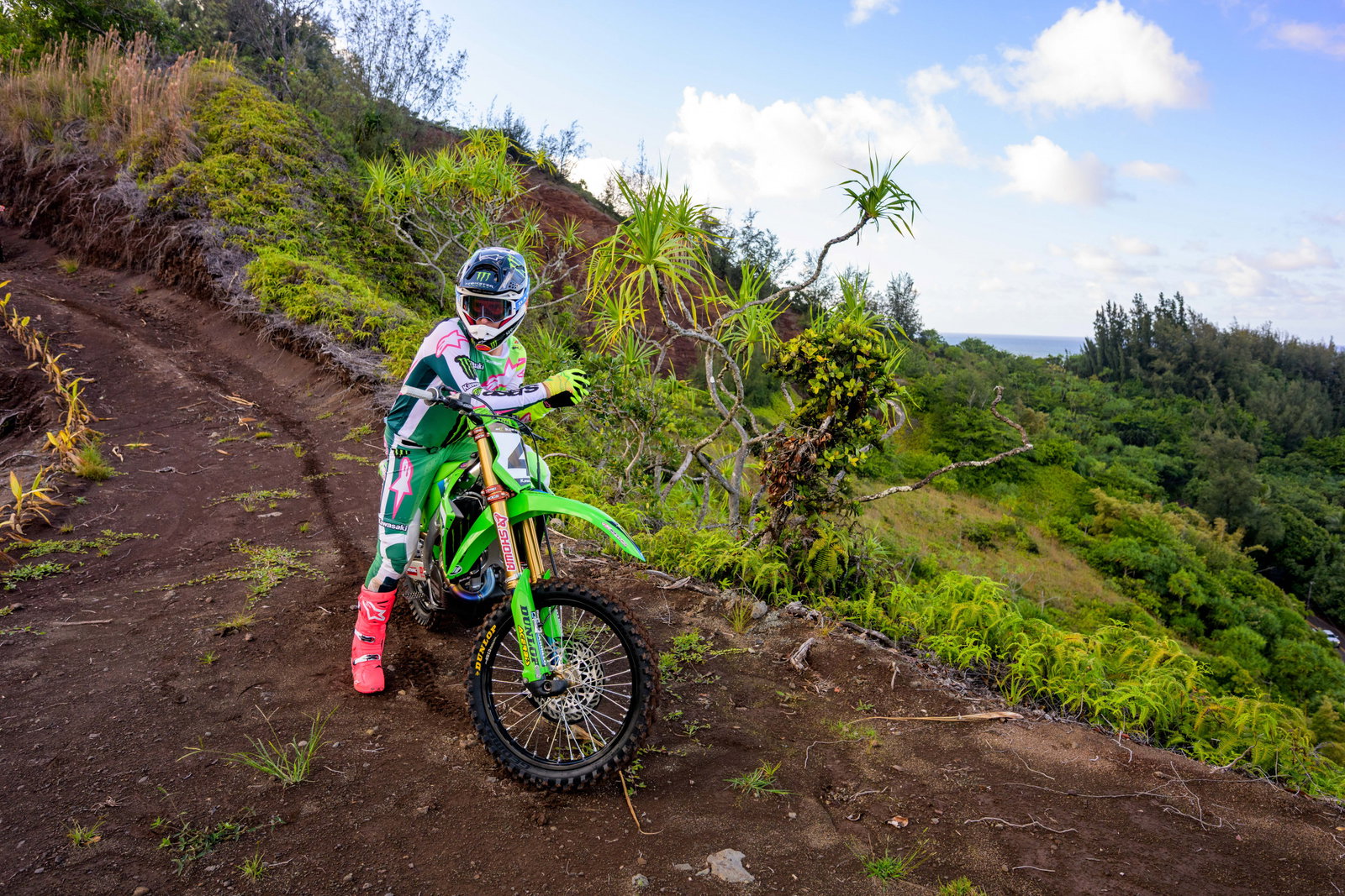 SEXTON_2025_HAWAII_MONSTER_OCTOPI__RJS9429.NEF