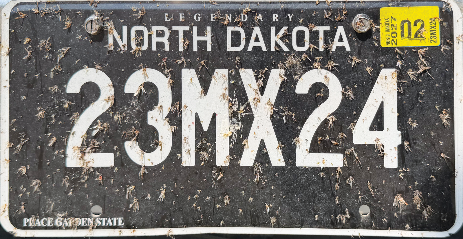 23MX24