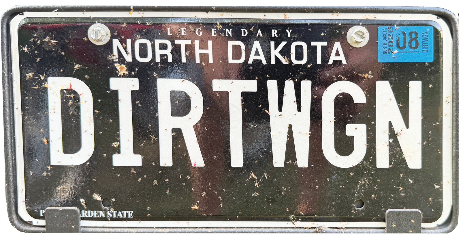 DirtWgn