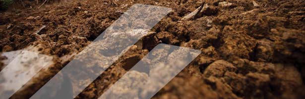 Which team has the best chance to upset the USA at the MXoN?