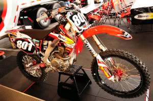 Alessi is returning to the Lites
