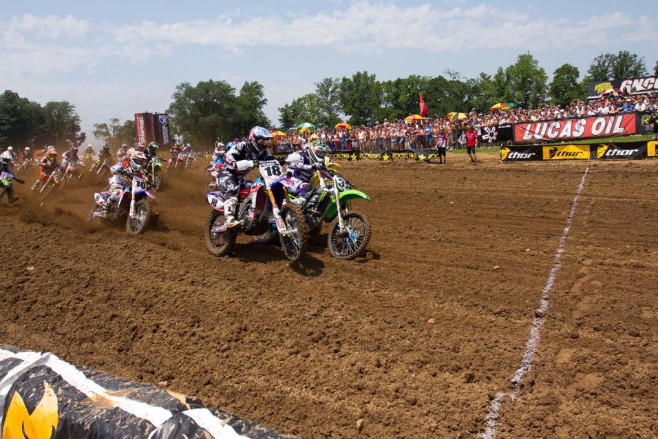 RedBud
