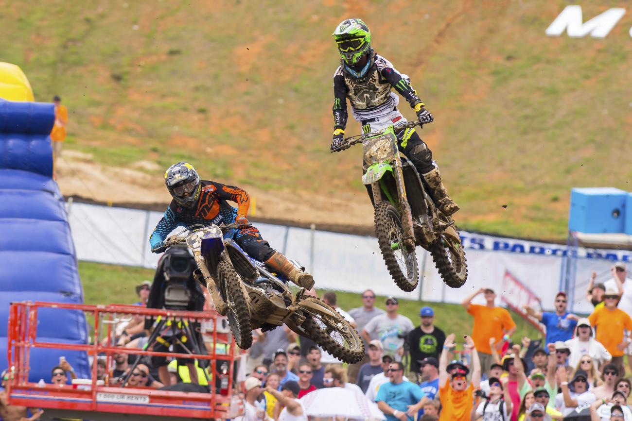 Observations: Muddy Creek