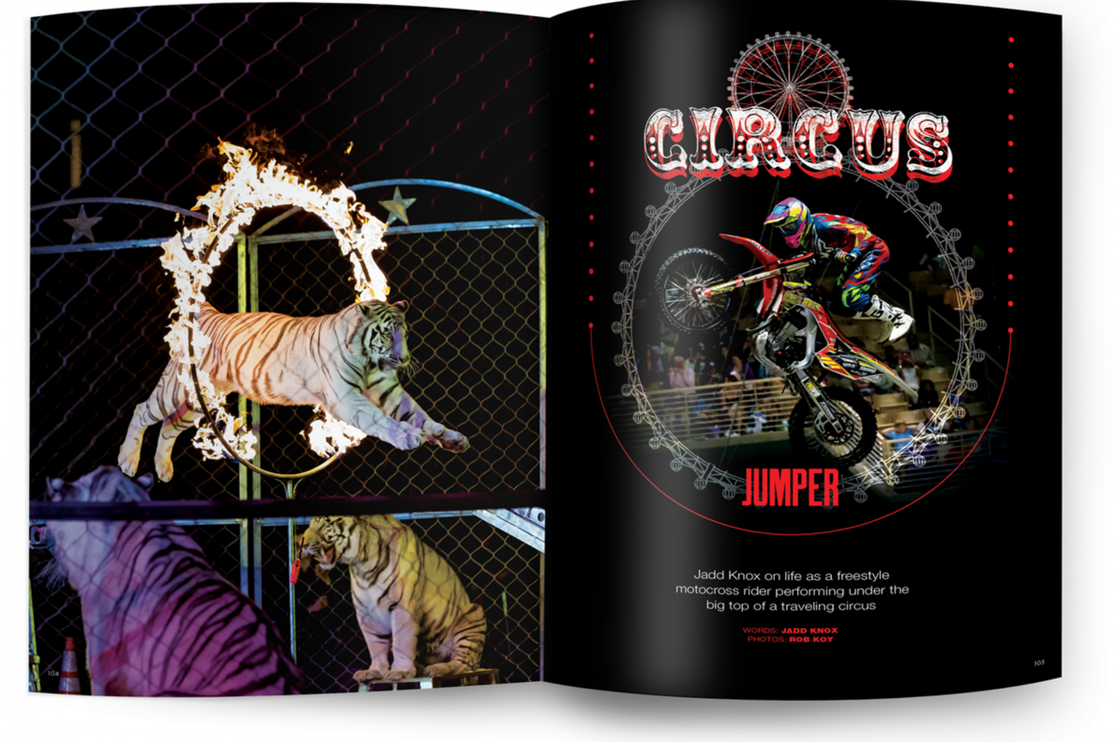 In the Mag, On the Web: Circus Jumper