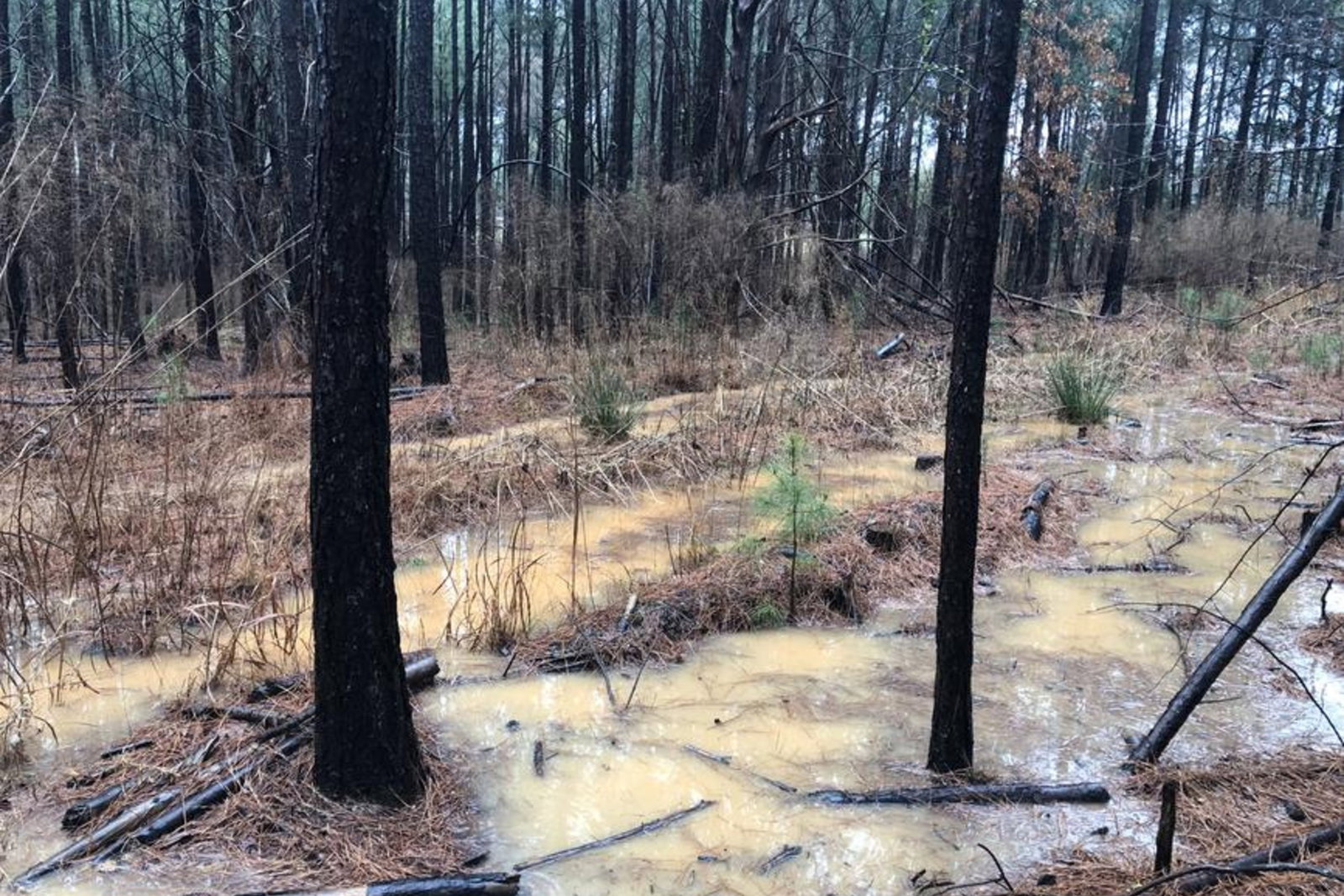 Big Buck GNCC Canceled This Weekend Due To Weather