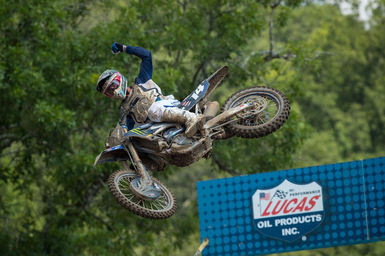 Dylan Ferrandis