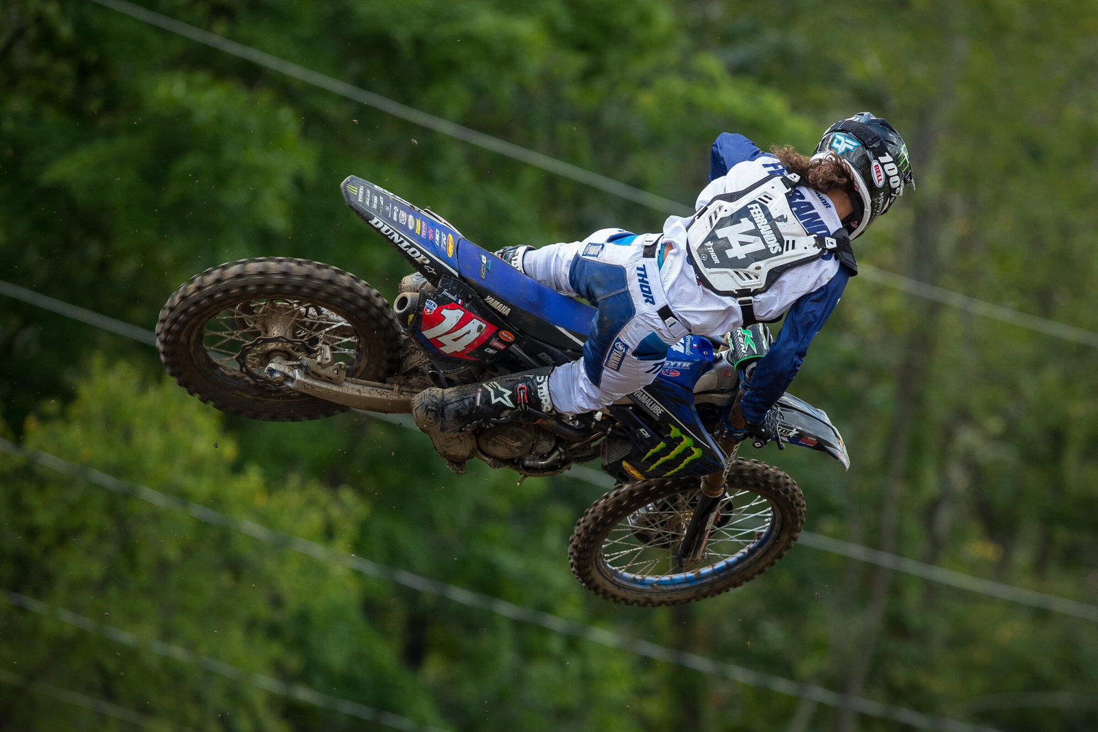 Dylan Ferrandis