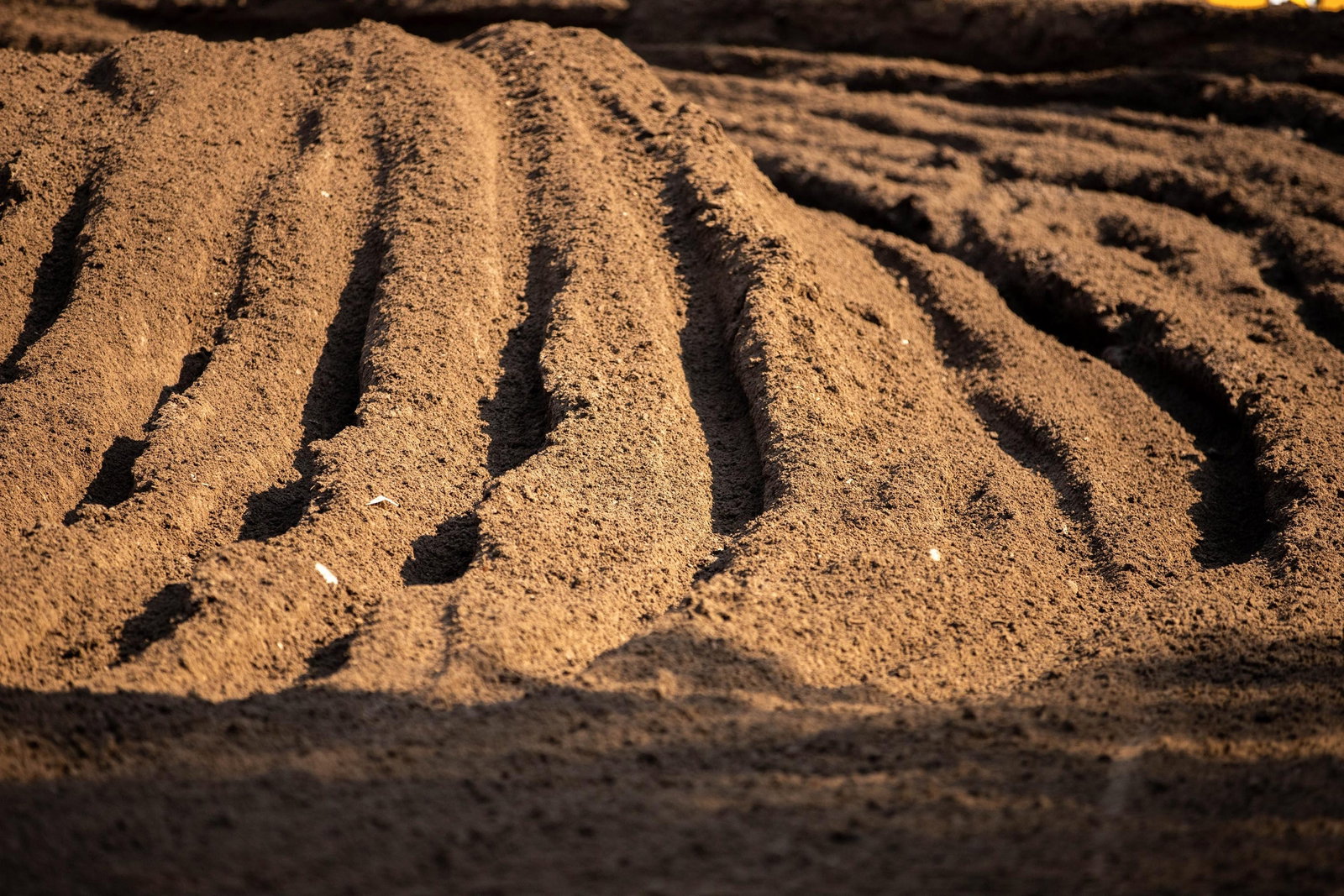 Gallery: RedBud 2