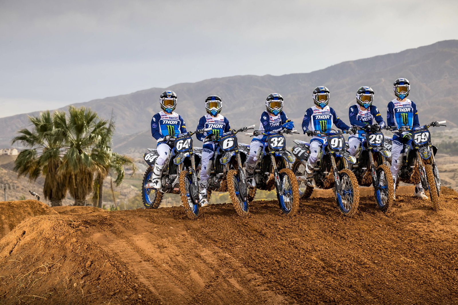 250 Words: 250 Team Guide