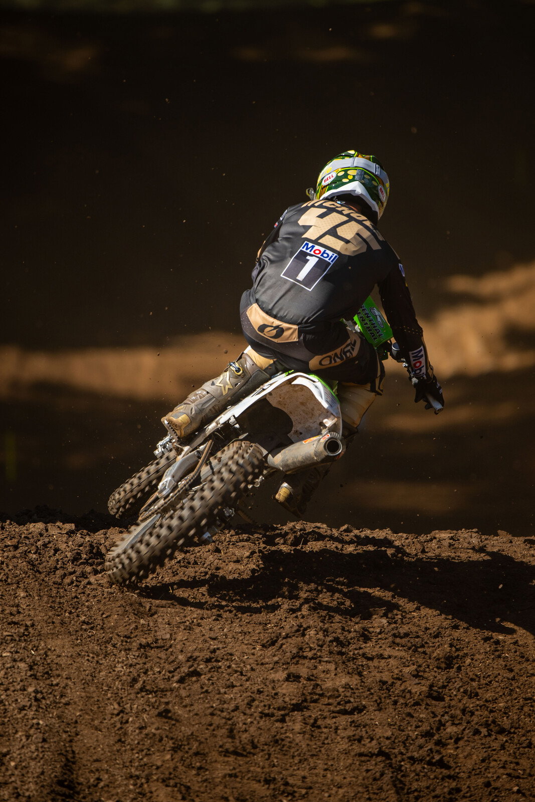 Colt Nichols
