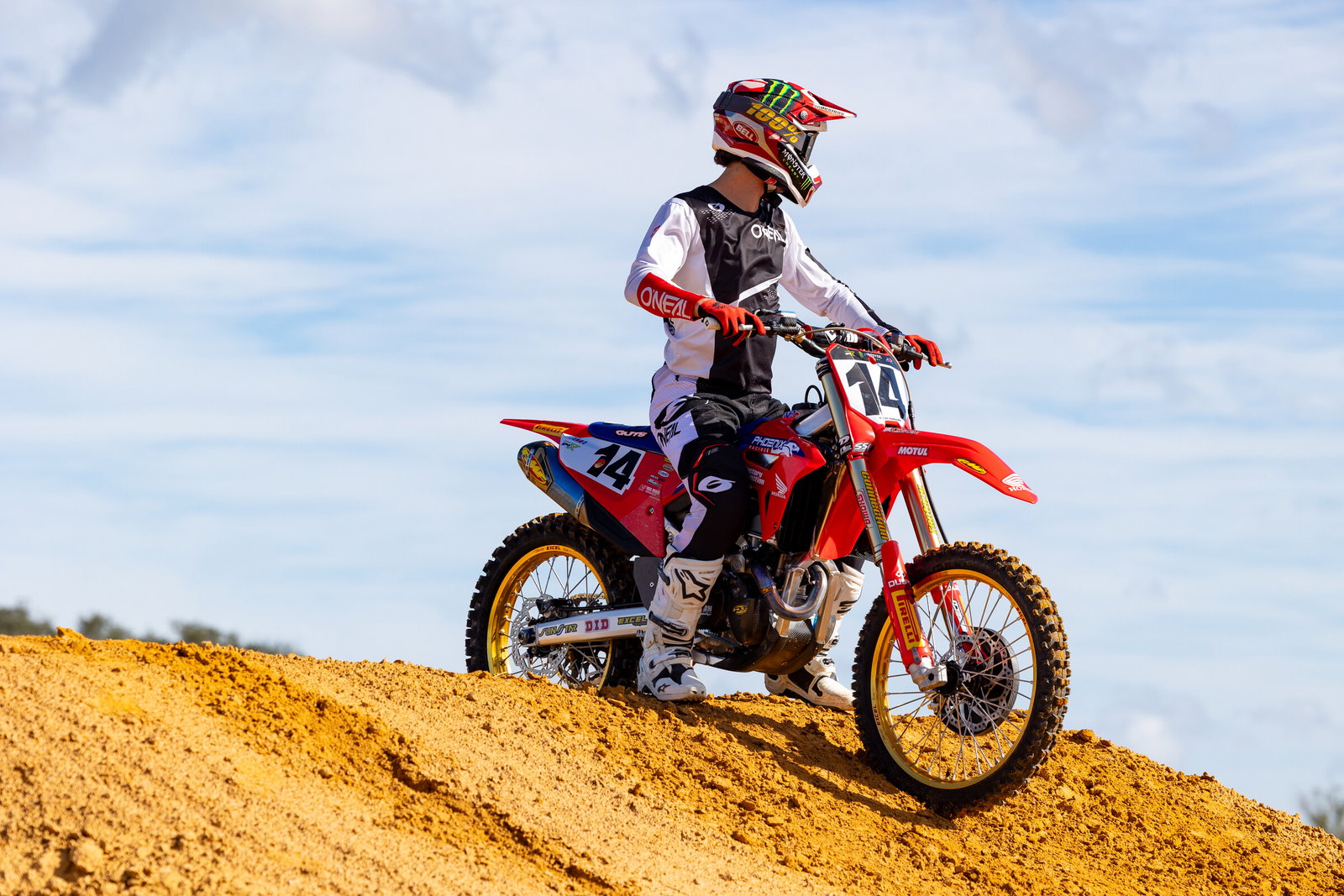 Official: Dylan Ferrandis Joins Phoenix Racing Honda for 2024 SX