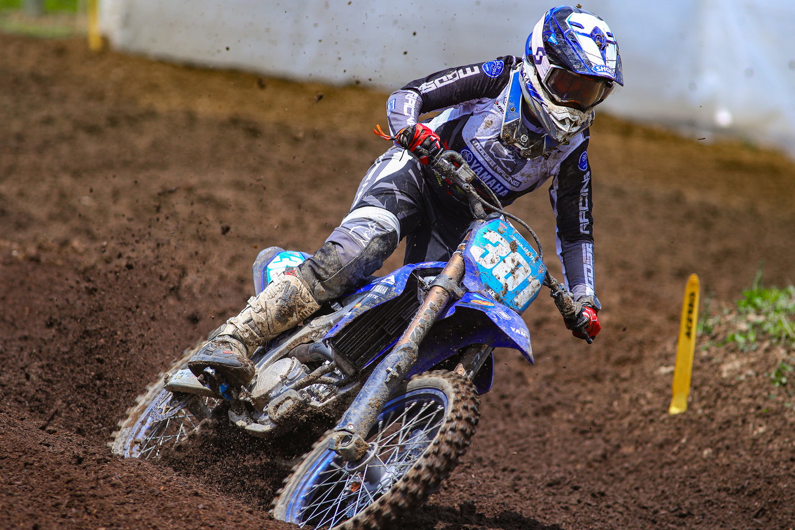 Jordan Jarvis