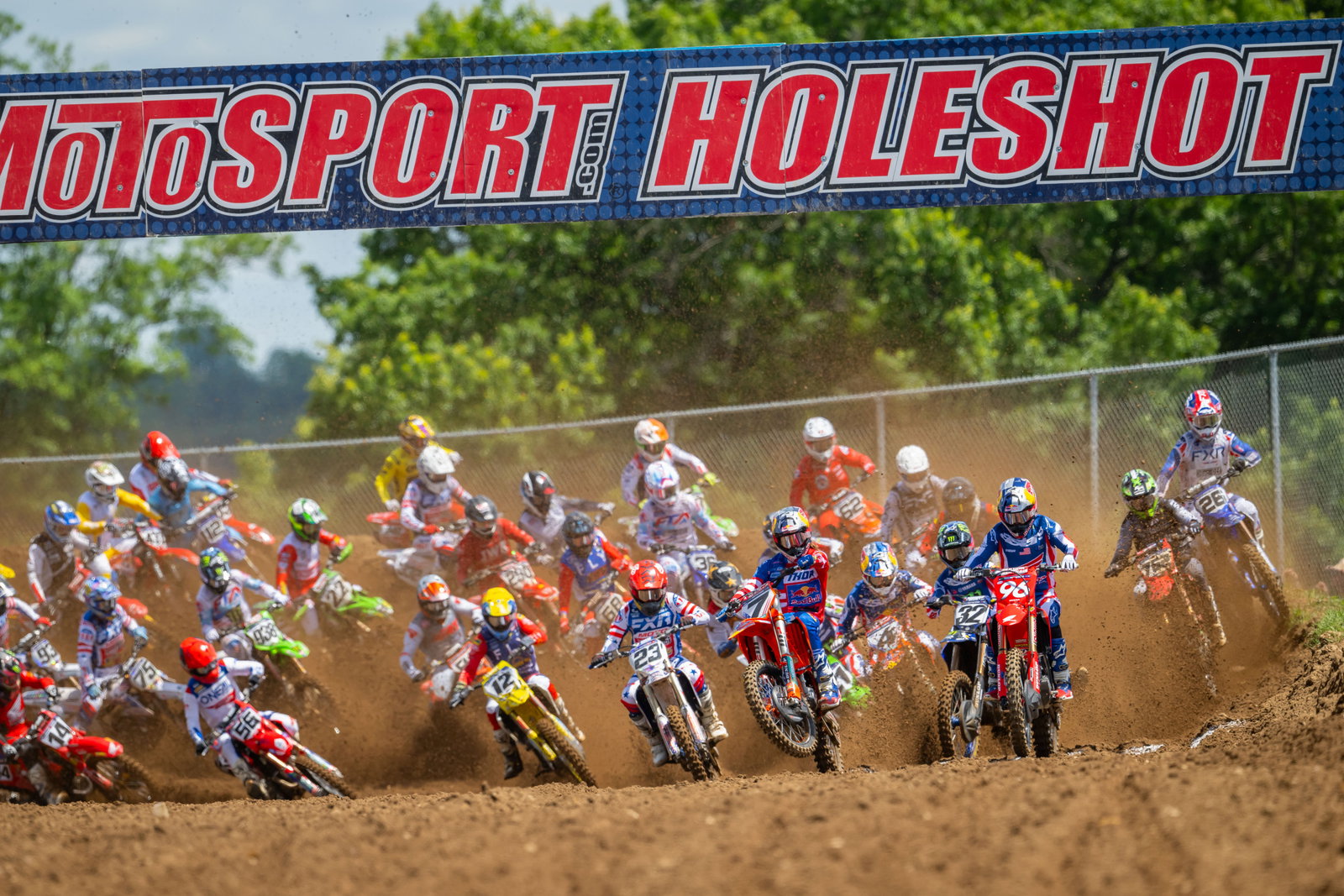 Observations: RedBud