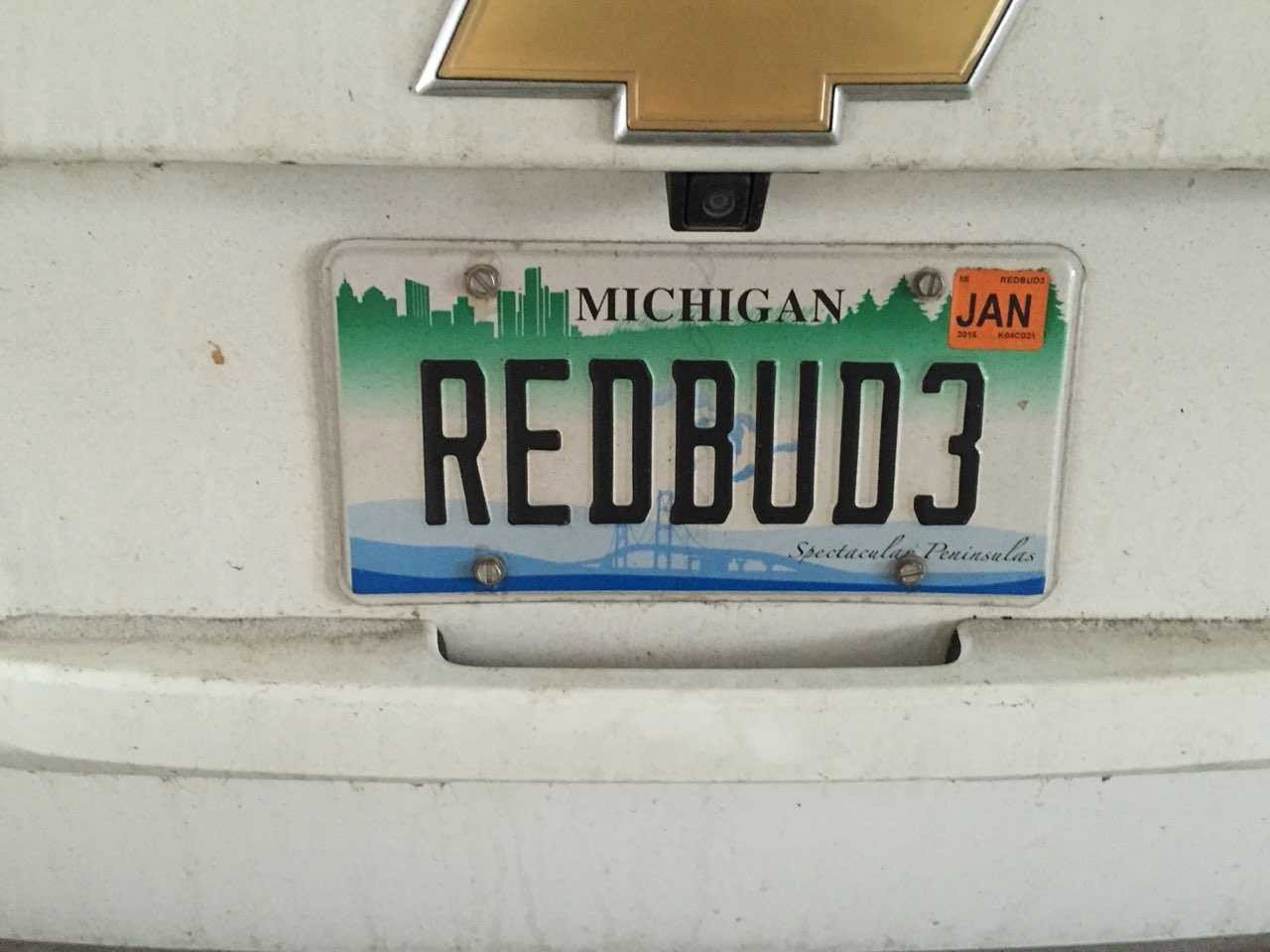 RedBud3