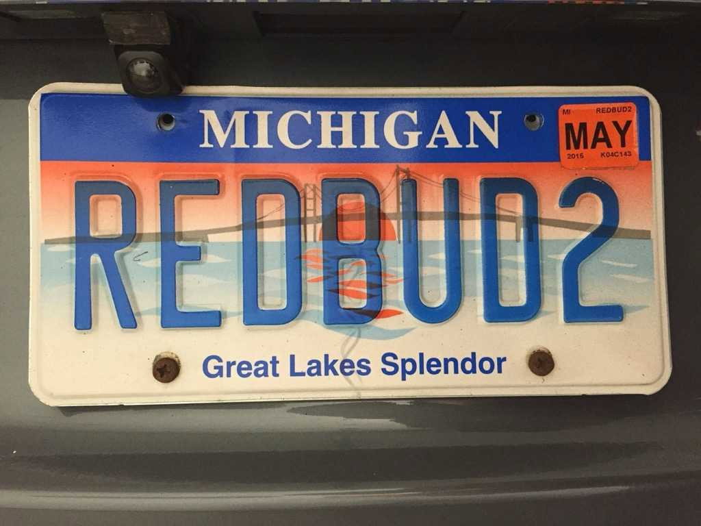 RedBud2.J