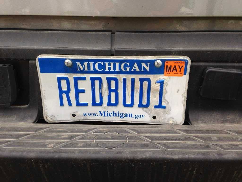 REDBUD1 .