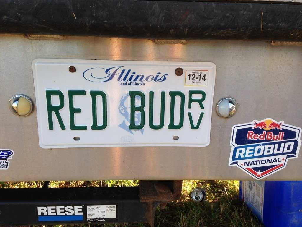 RED BUD (